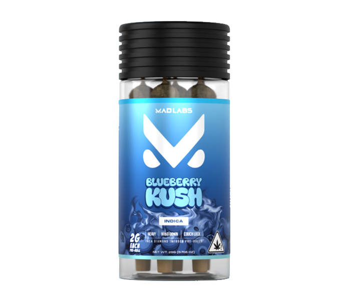 BLUEBERRY KUSH 20G